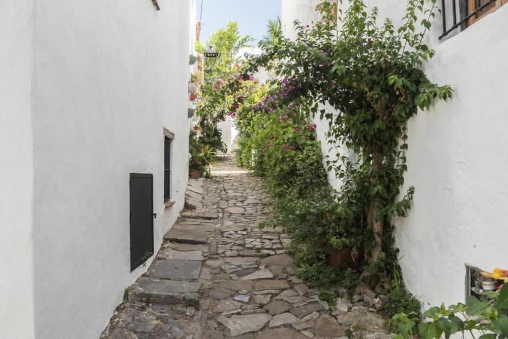 Tranquilo Y Comodo Apartamento En Vejer De La Frontera Exteriör bild